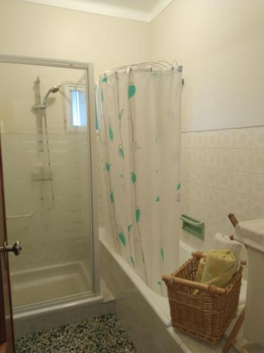 奎恩塔杜安乔Casa da Adega的带淋浴和浴帘的浴室