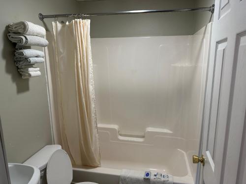 AlfredEconomy Inn的带淋浴和卫生间的白色浴室