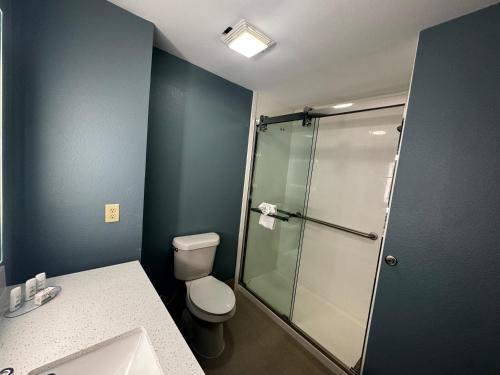 大学城Wingate by Wyndham College Station TX的一间带卫生间和玻璃淋浴间的浴室