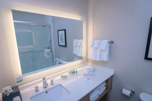休斯顿Holiday Inn & Suites Houston NW - Willowbrook, an IHG Hotel的一间带水槽和大镜子的浴室