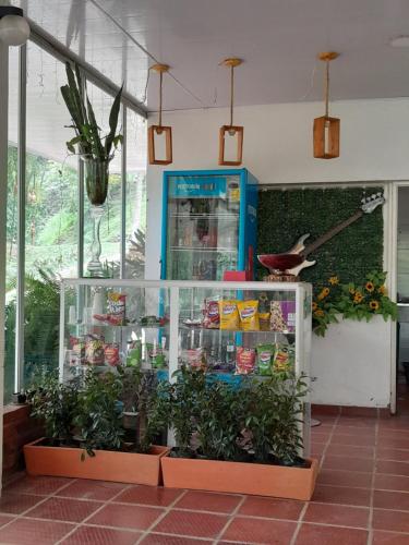 圣弗朗西斯科Hotel campestre Villa Sarita的玻璃盒里装有植物的商店