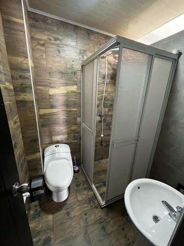 皮塔利托Apartamento Escalini Pitalito的浴室配有卫生间、淋浴和盥洗盆。