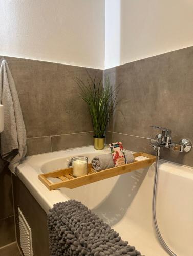 杜伊斯堡Deluxe Apartement mit Terrasse的带浴缸的浴室,内配植物