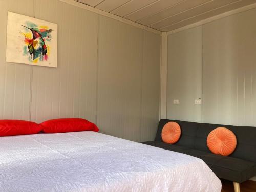 CopeyMario's Lodge Providencia的一间卧室配有一张床和一张沙发