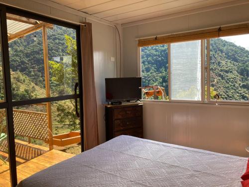 CopeyMario's Lodge Providencia的一间卧室设有一张床和一个带电视的窗户。