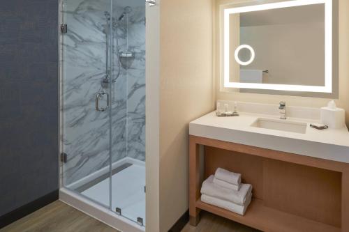 圣地亚哥米申谷圣地亚哥万豪酒店的一间带水槽和淋浴的浴室