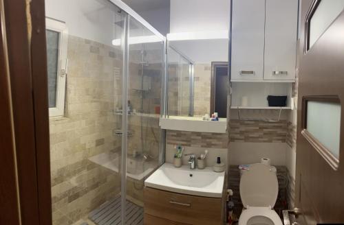 尼普顿Tudor Apart Neptun的浴室配有卫生间、盥洗盆和淋浴。