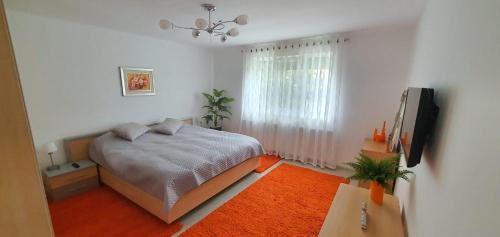 蒂米什瓦拉Casa Berzei的一间卧室配有一张床和一台电视