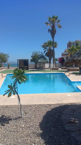 基诺湾Mision del Sol的一座种植了棕榈树和大海的大型蓝色游泳池
