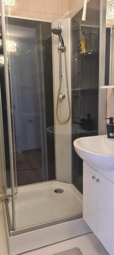 KõrgessaareViscosa Holiday Apartment的带淋浴和盥洗盆的浴室