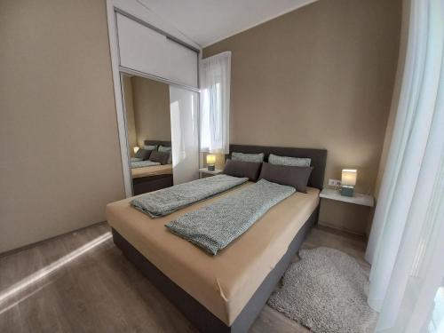 希欧福克Villa Bori Siófok的一间卧室配有一张带大镜子的床