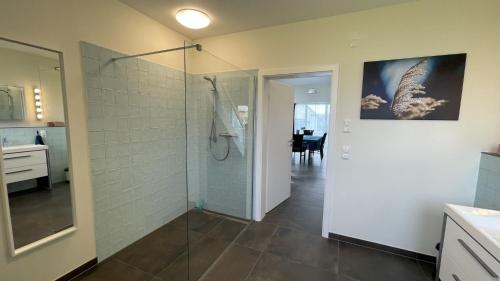 StipshausenANDERSWELTENlodge的带淋浴和玻璃淋浴间的浴室