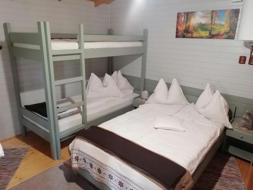 普拉伊德Natura Chalets的一间卧室配有一张双层床和梯子