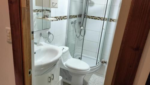 卡尔德拉Hotel 5° Estación的带淋浴、卫生间和盥洗盆的浴室