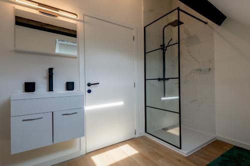 安特卫普Miniloft Pelgrim的带淋浴的浴室和玻璃门