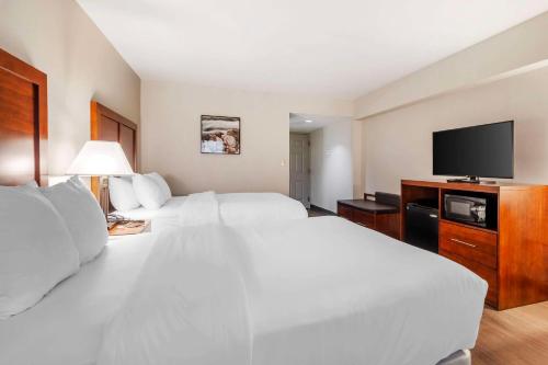 鲍伊鲍伊会议中心康福特茵酒店的酒店客房设有两张床和一台平面电视。