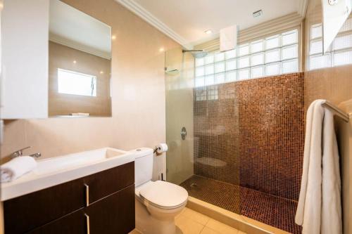 布里斯班Riverside Studio apartment with parking的浴室配有卫生间、盥洗盆和淋浴。