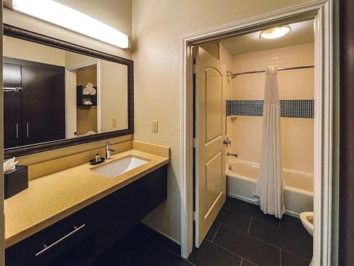 休斯顿Chinatown 1B and Free Parking Washer and Dryer Gym Relux的一间带水槽和淋浴的浴室