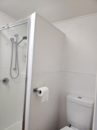 GreenvaleGreen heavan的带淋浴和卫生间的白色浴室
