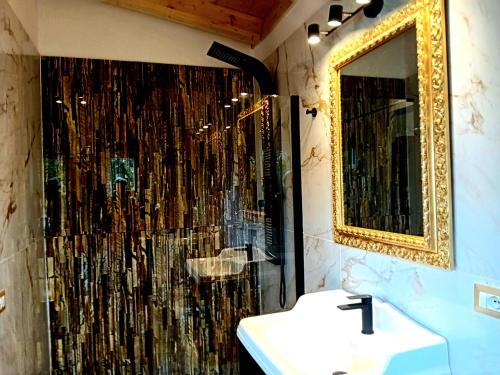 福尔梅洛安格洛迪天堂农家乐的带淋浴、水槽和镜子的浴室