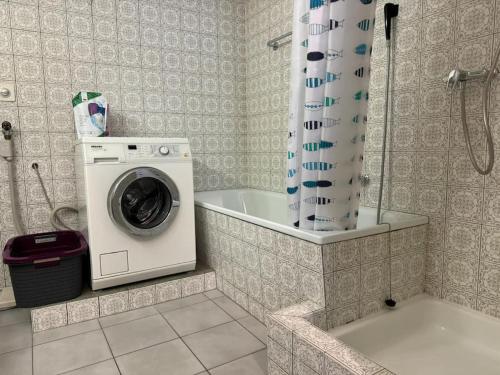 韦吉斯Charming Apartment w/Terrace on Lake and Mountain的带淋浴的浴室内的洗衣机