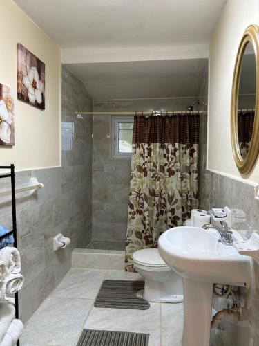 Love HillTreasures of Andros的一间带水槽、卫生间和淋浴的浴室