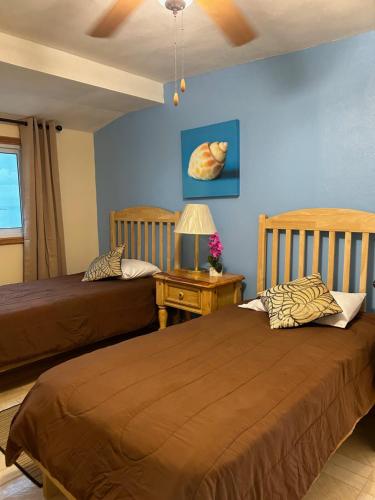 Love HillTreasures of Andros的蓝色墙壁客房的两张床