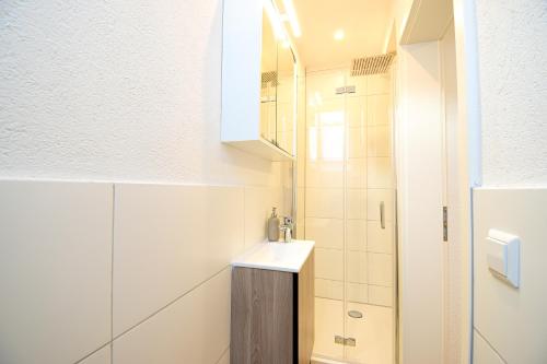 米赫拉克尔BOHO-Apartment, Feel like Home, Free Coffee的一间带水槽和淋浴的浴室