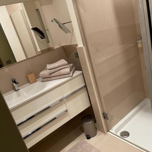 鲁瑟拉勒B&B Park Rodenbach的浴室配有盥洗盆、淋浴和毛巾