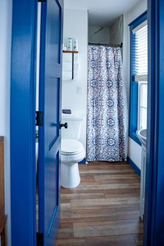 帕尔默Van Wormer Room 201, Hyland Hotel的蓝色的浴室设有卫生间和水槽