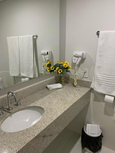 彼得罗波利斯Apartamento Hotel Itaipava Petropolis的浴室设有水槽、镜子和鲜花