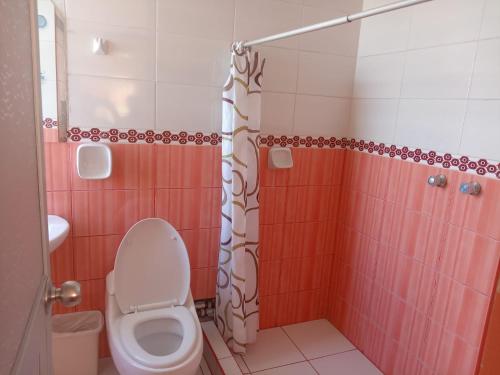 普诺INKA'S DREAMS HOUSE的一间带卫生间和淋浴的浴室
