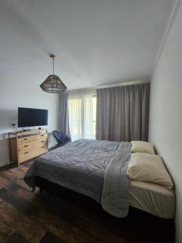 圣卡洛斯-德巴里洛切Monoambiente a estrenar en Bariloche的一间卧室配有一张床和一台平面电视