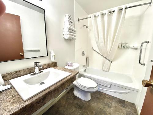 帕克斯维尔杨梅丛汽车旅馆的一间带水槽、卫生间和淋浴的浴室