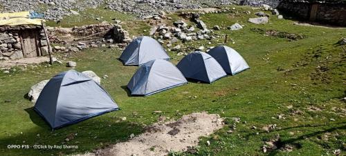 达兰萨拉Hills View Cafe & Camping的田野上的四个蓝白色帐篷