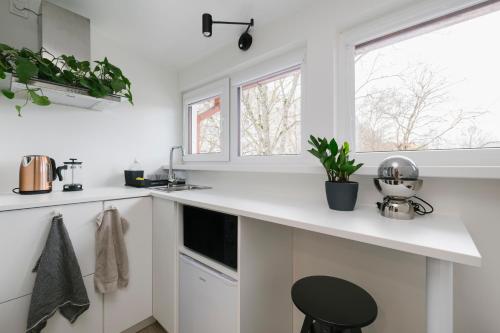 塔林Apartment for one - grey的白色的厨房配有柜台和水槽