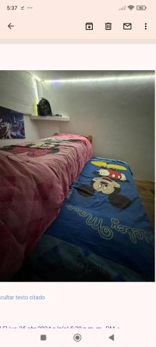WildeHouseWilde的一张床上的微米老鼠毯子的照片