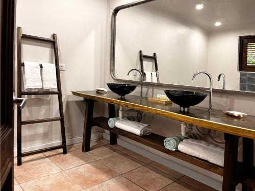 Port ElizabethGingerbread Suites的一间带两个盥洗盆和大镜子的浴室