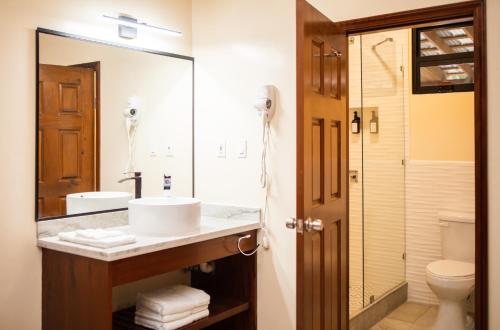 圣伊格纳西奥The West House Boutique Hotel的一间带水槽和卫生间的浴室