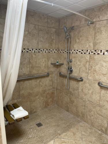 科迪尔Suburban Studios的带淋浴和浴帘的浴室
