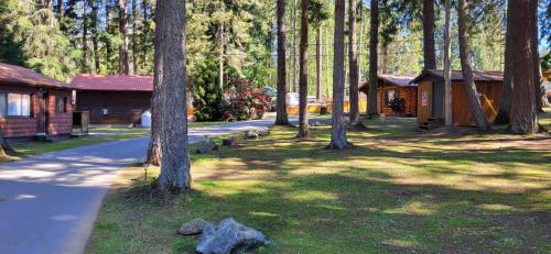 帕克斯维尔Riverbend Cottage & RV Resort的小屋旁公园里的一群树木