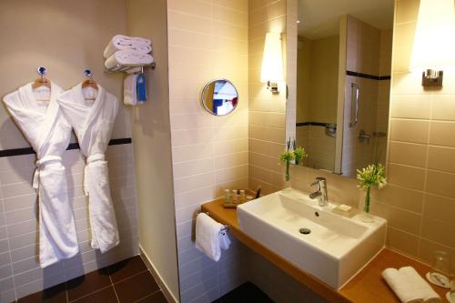 布拉尼亚克图卢兹机场丽笙酒店的一间带水槽和镜子的浴室