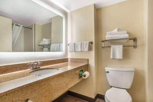 比洛克西橡树庄园贝斯特韦斯特酒店的一间带卫生间、水槽和镜子的浴室