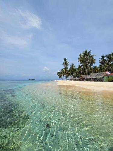 AchoertupoStay San blas islands private room的一片棕榈树和水的海滩