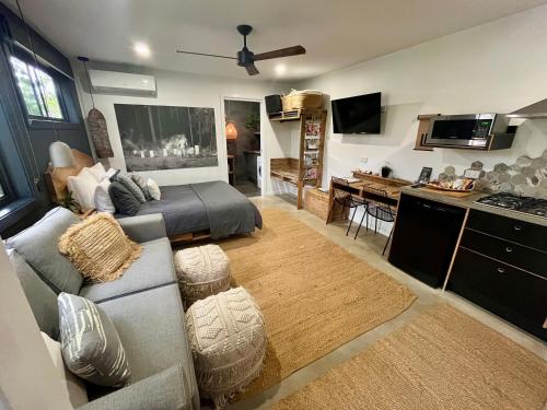 麦夸里港Sunnyside Studio - Pet Friendly Luxury Escape的带沙发的客厅和厨房