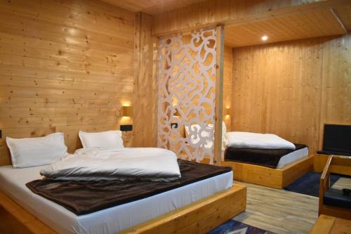 巴德里纳特Hotel Inn Badrinath Stay的一间带两张床的卧室和一台电视
