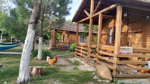 马尔特维利Tiny houses Genacvale的一只鸡站在小木屋前