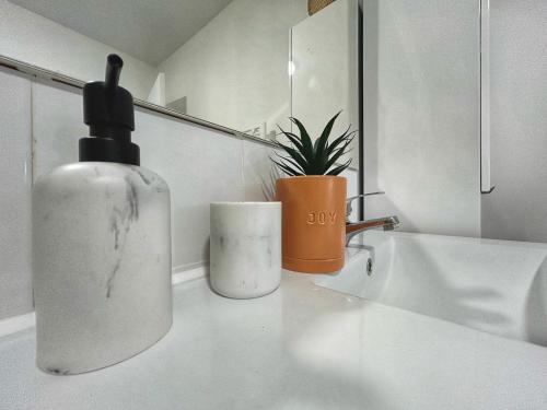 富尔克Doux Rouinet cocoon的一间带肥皂机和台面植物的浴室