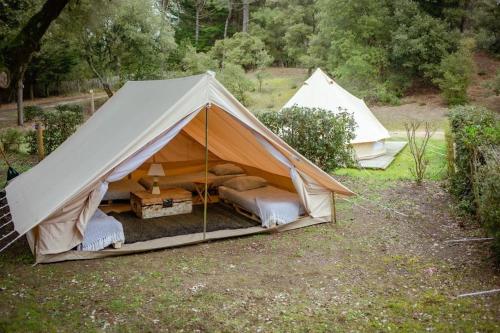 圣伊莱尔德里耶The Spot - 200m de la Plage的田野里带一张床和一张桌子的帐篷