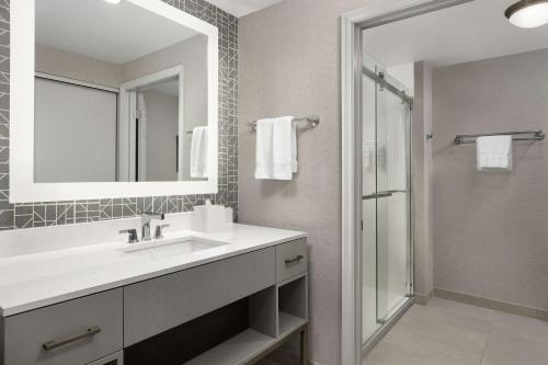 怀俄米兴沃密斯瑞丁希尔顿惠庭套房酒店 的一间带水槽、镜子和淋浴的浴室